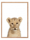 Plakat - Løve