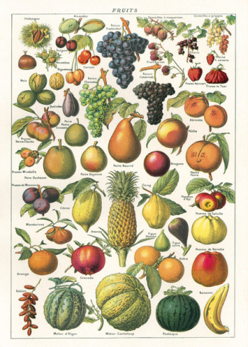 Plakat - Frukt 2